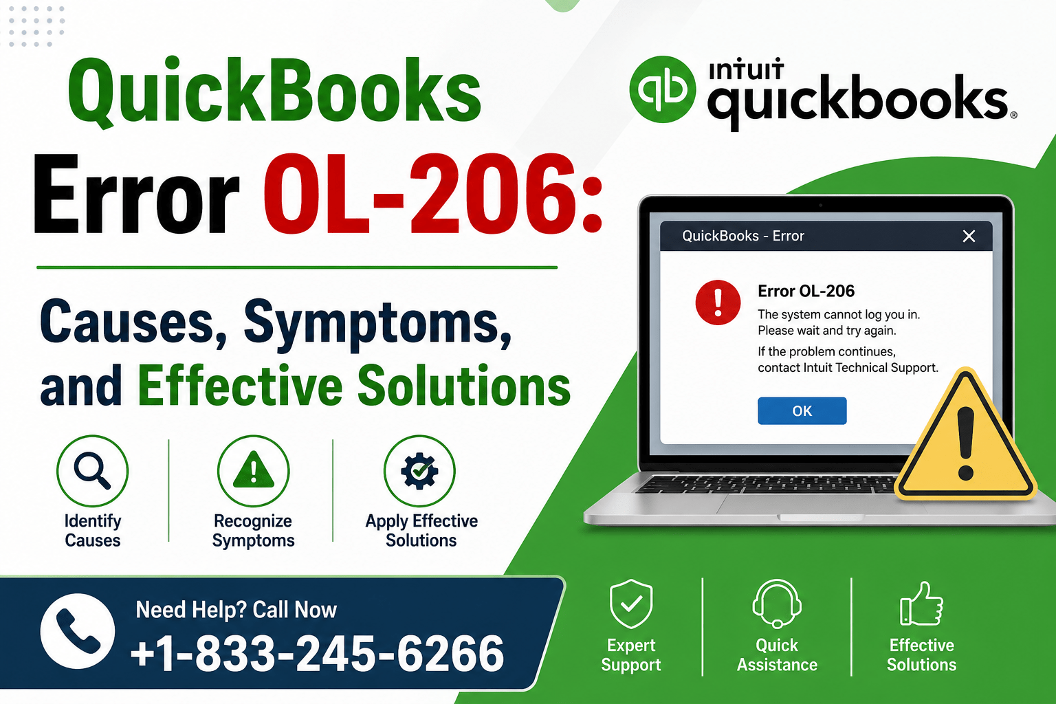 QuickBooks Error OL-206