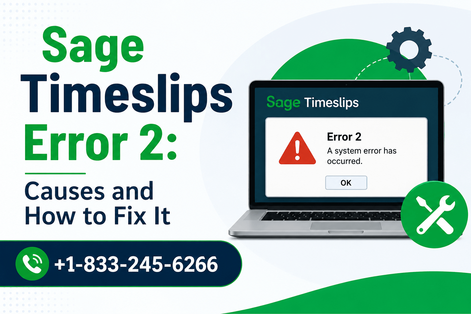 Sage Timeslips Error 2